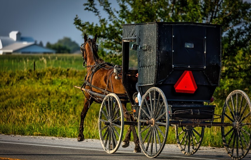 Amish