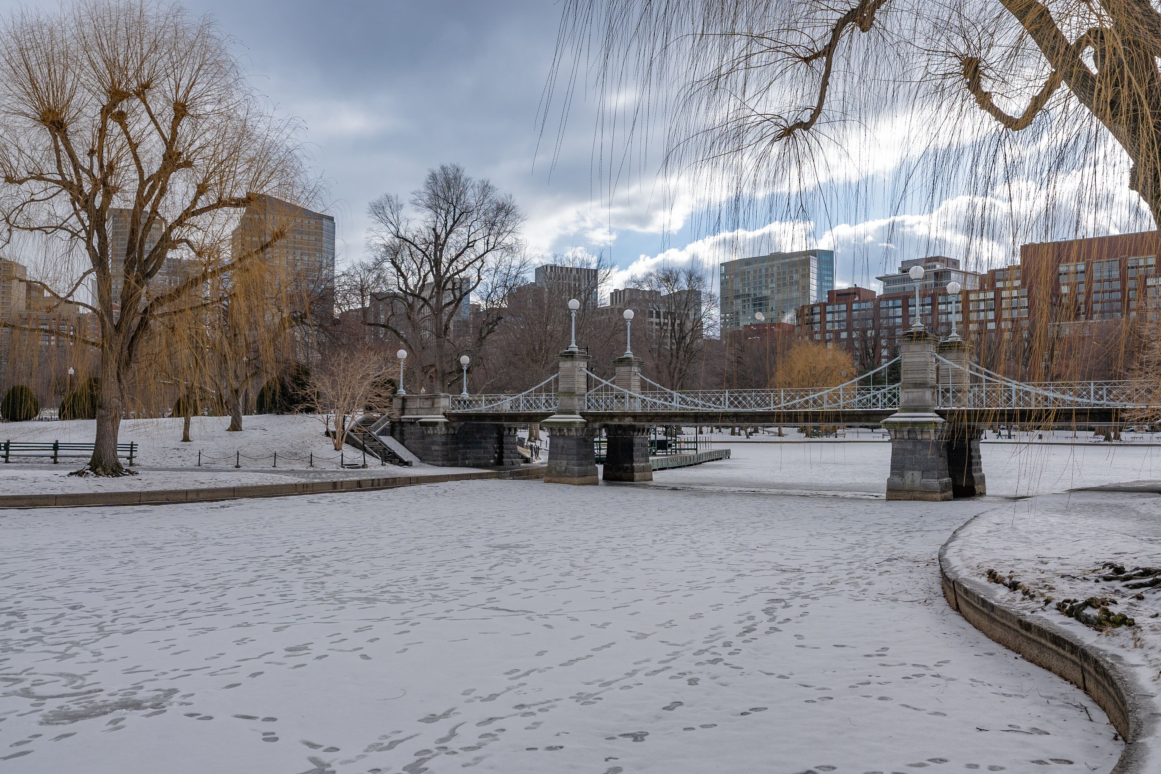 Boston Christmas Martz Bus Tour - pexels-philevenphotos-30615067