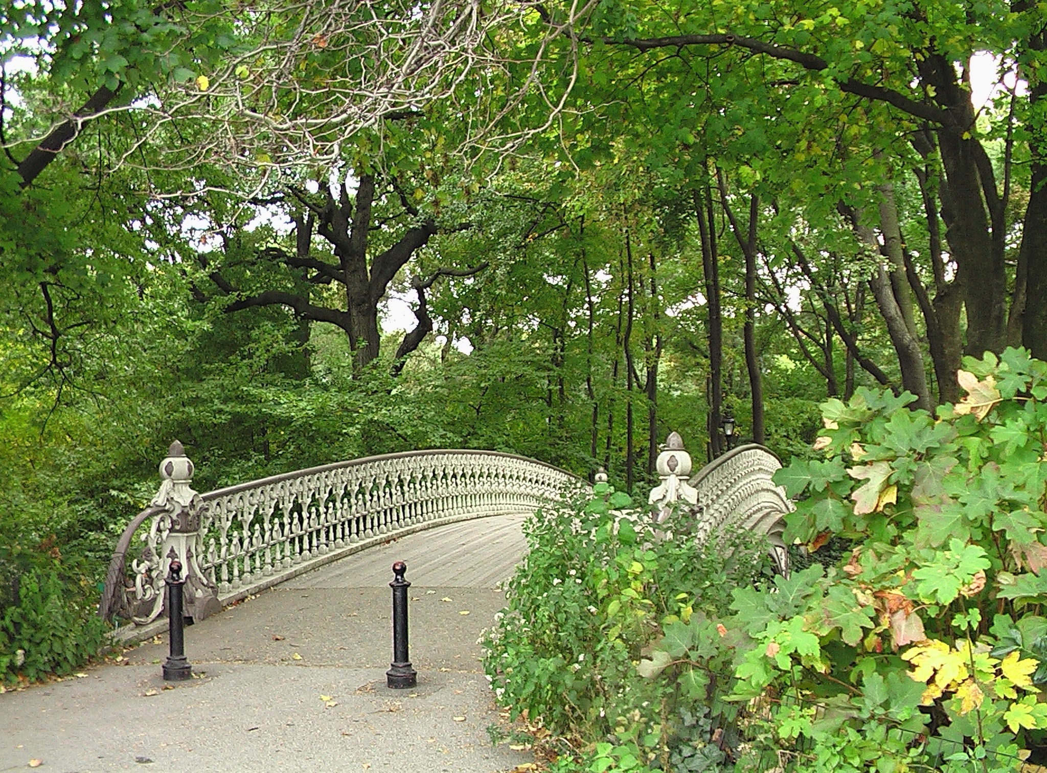 NYC smaus-usa-123360