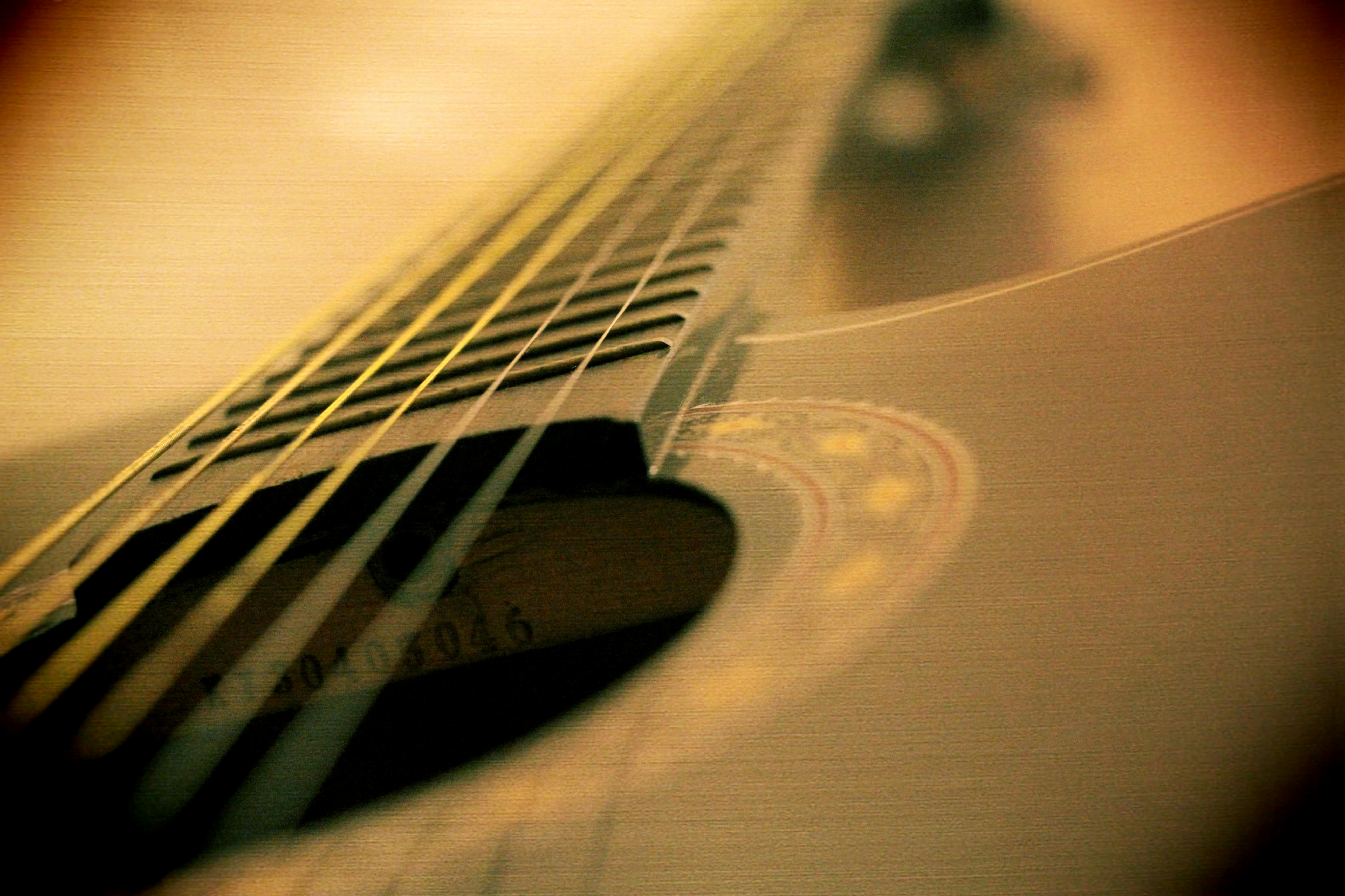Tribute to James Taylor with Martz Bus - pexels-aaditya-arora-188236-592751