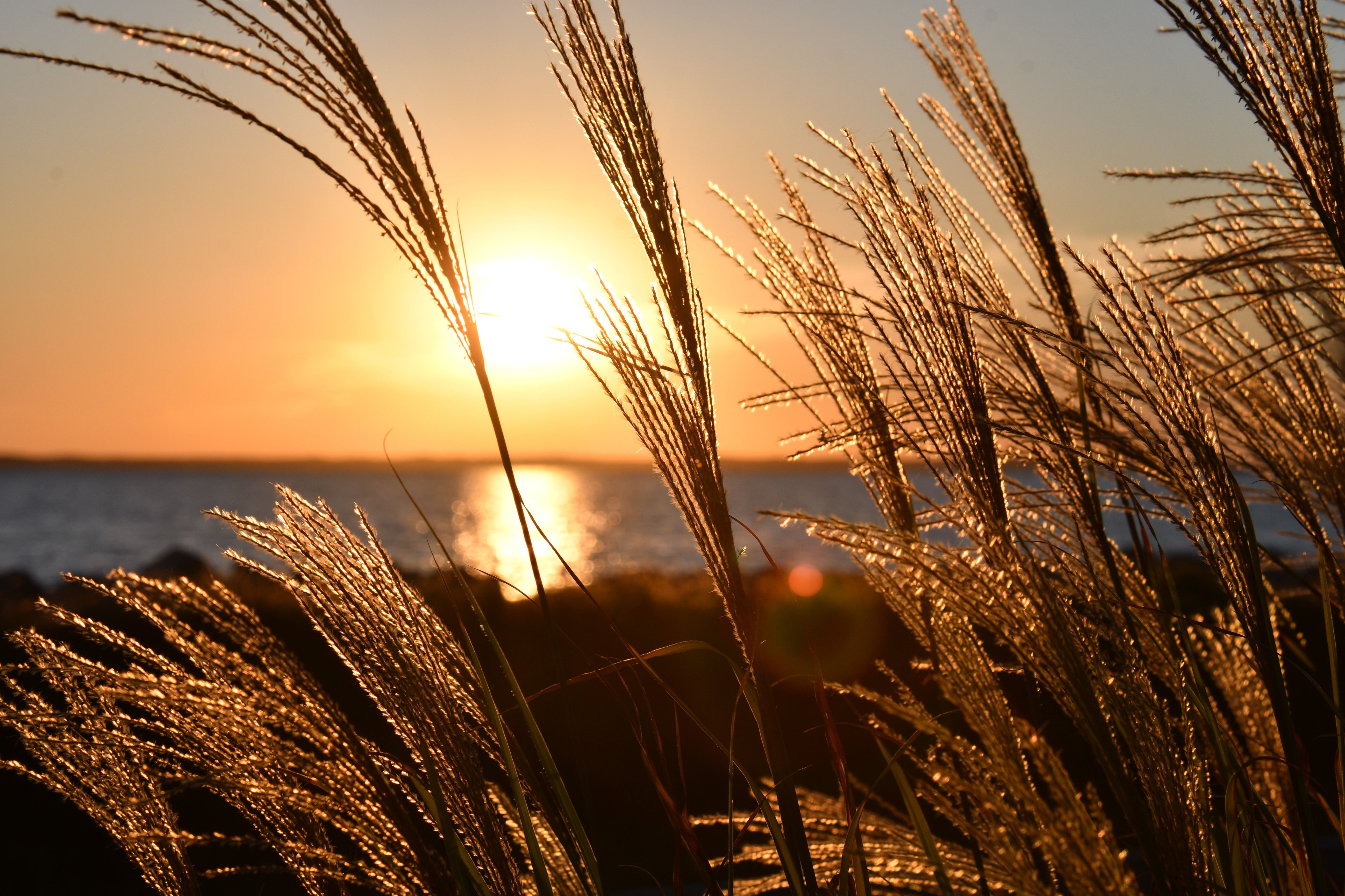Cape May in the Fall with Martz Bus Tours - pexels-dibert-635511
