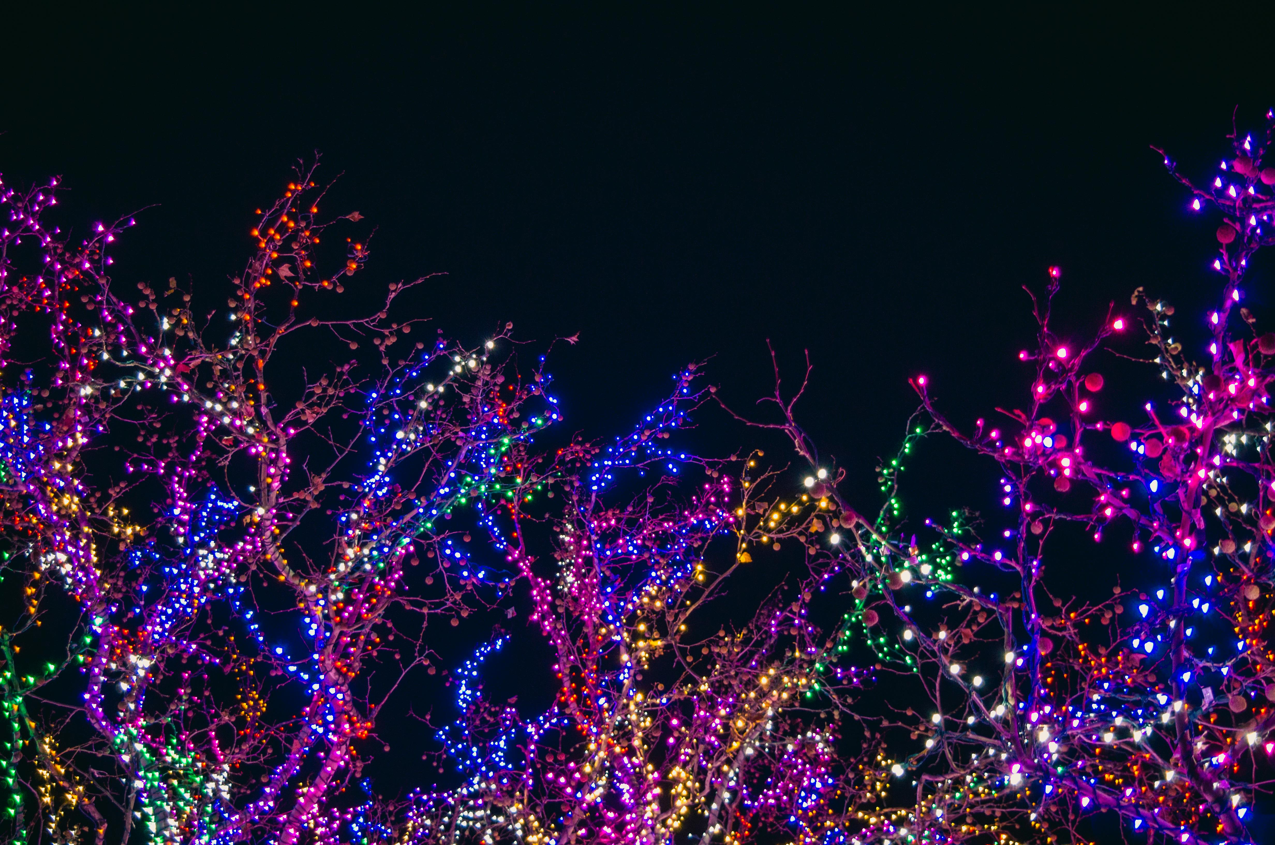 Brooklyn christmas lights  with Martz Bus - pexels-jmeyer1220-752484