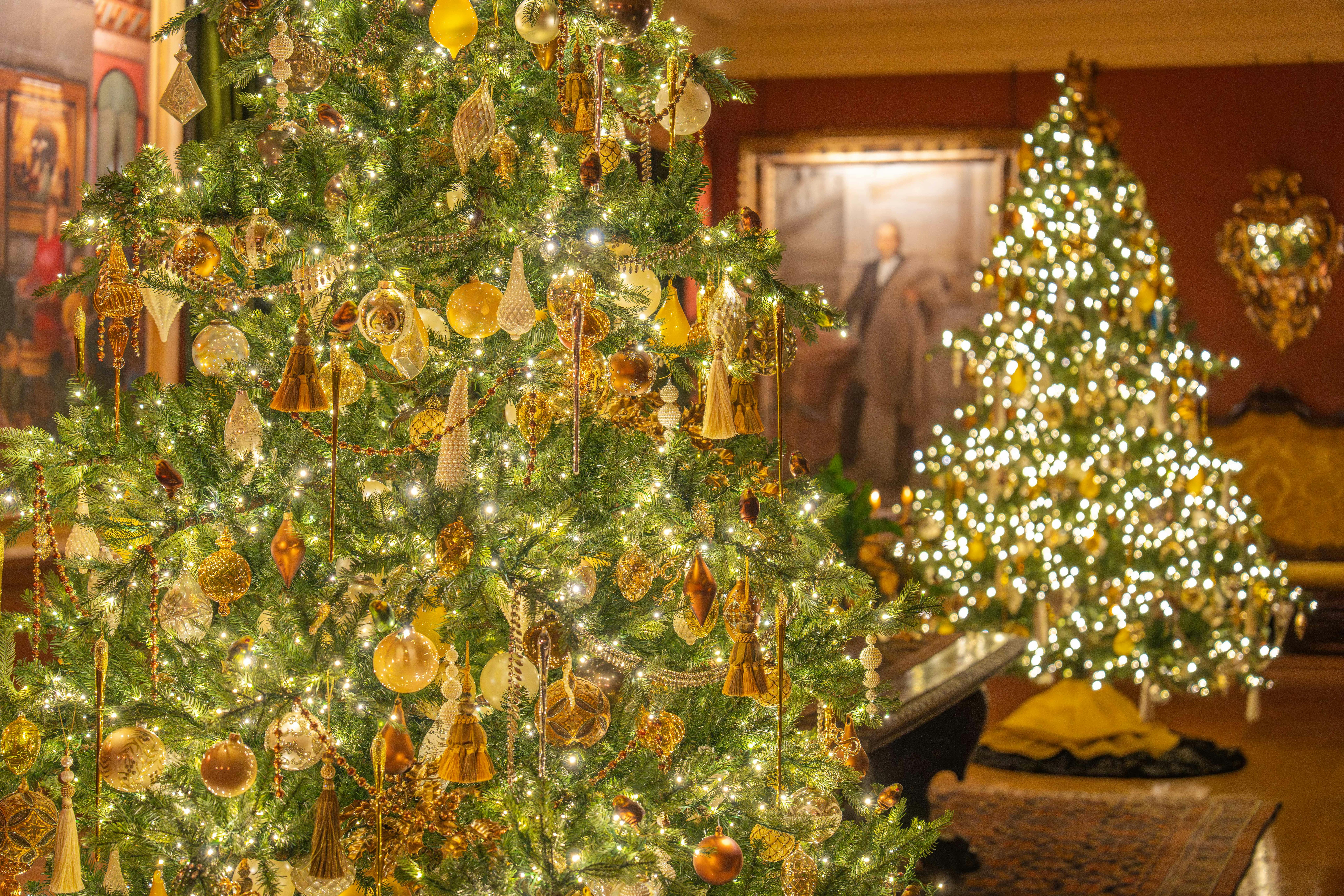 newport mansions christmas with Martz Bus - pexels-nc-farm-bureau-mark-34771637