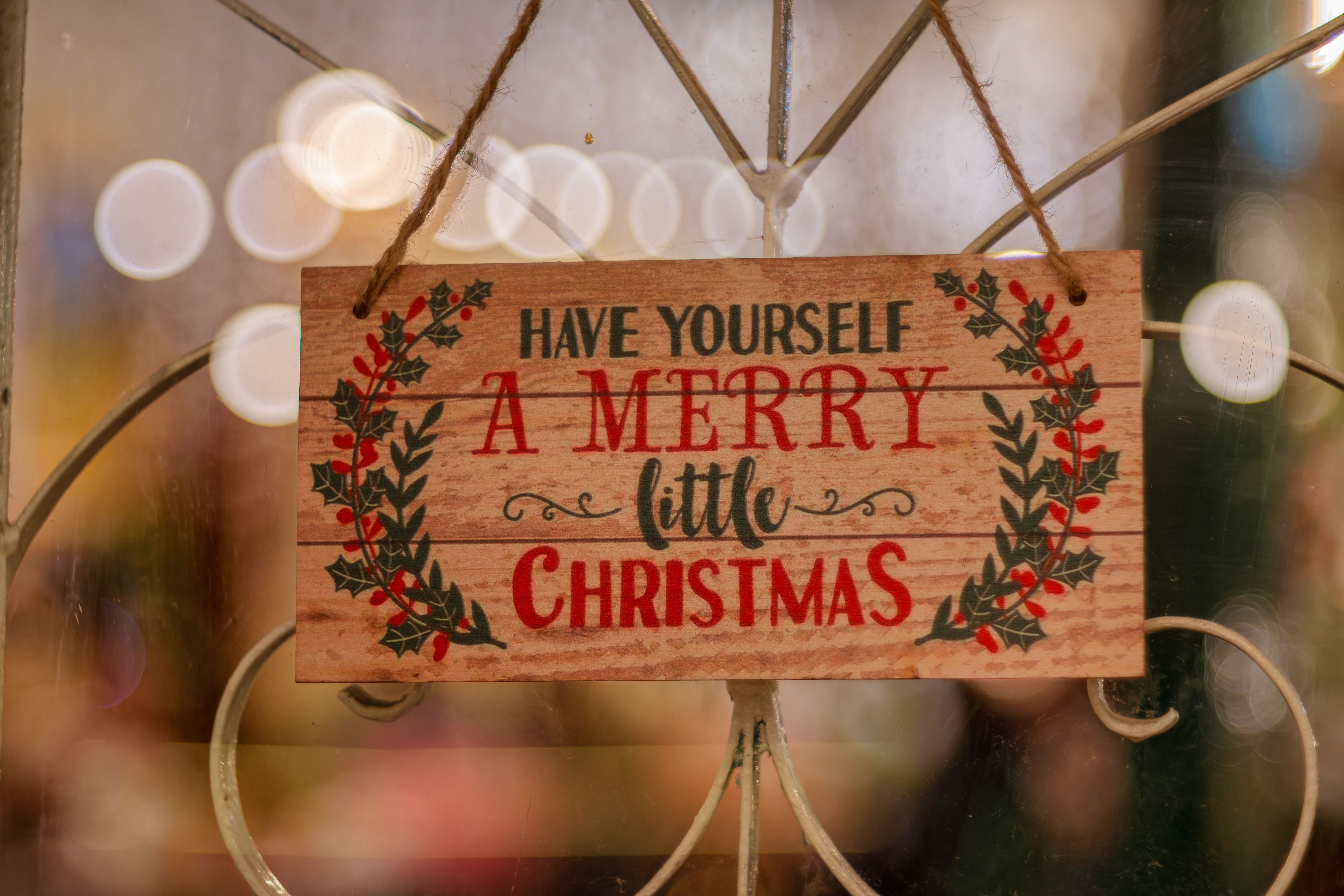 "Holly Jolly Holiday" with Martz Bus in Lancaster PA - pexels-peterdanthy-32718647