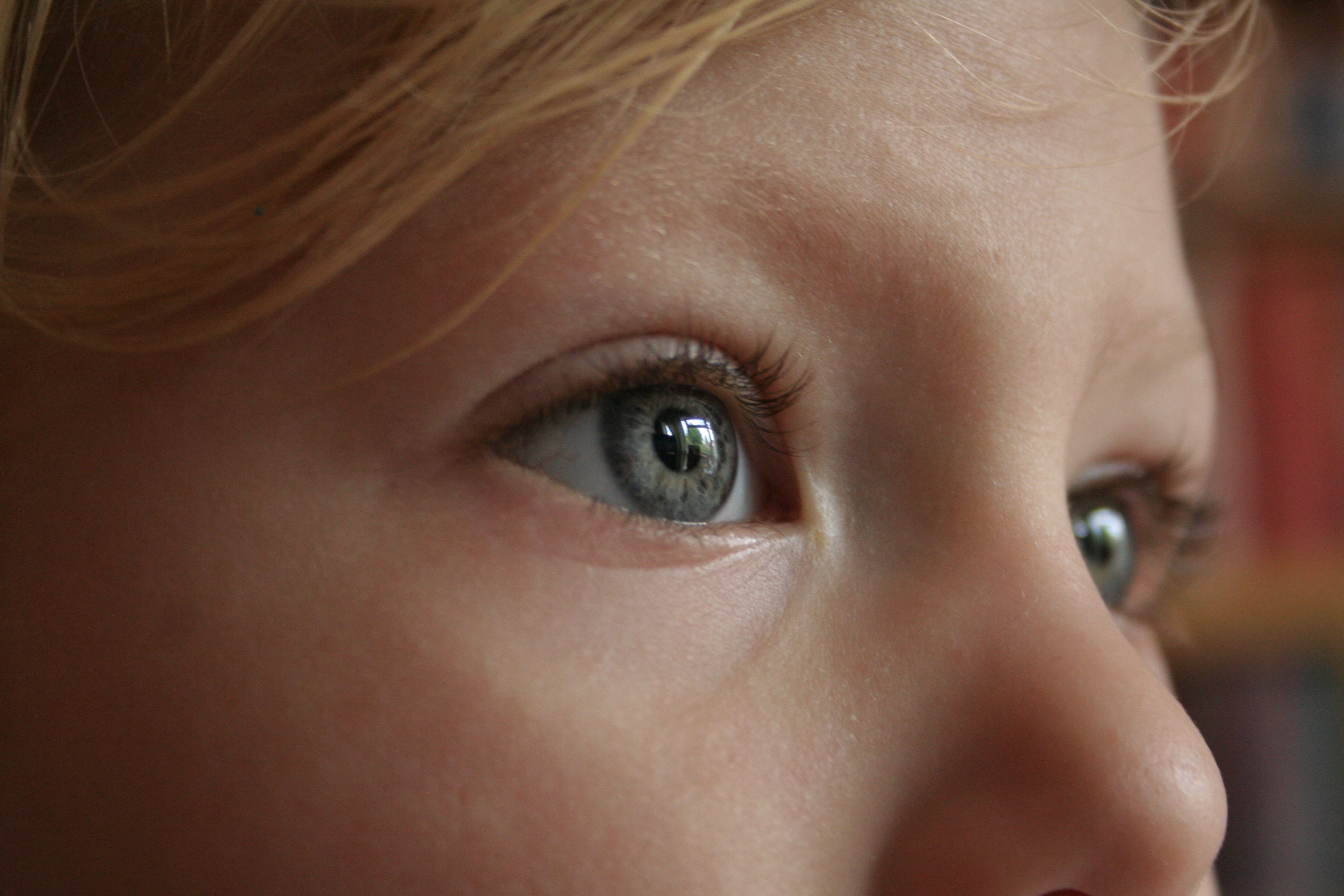 Show your kids the world with Martz Bus, Image: nickelbabe-eye-784903
