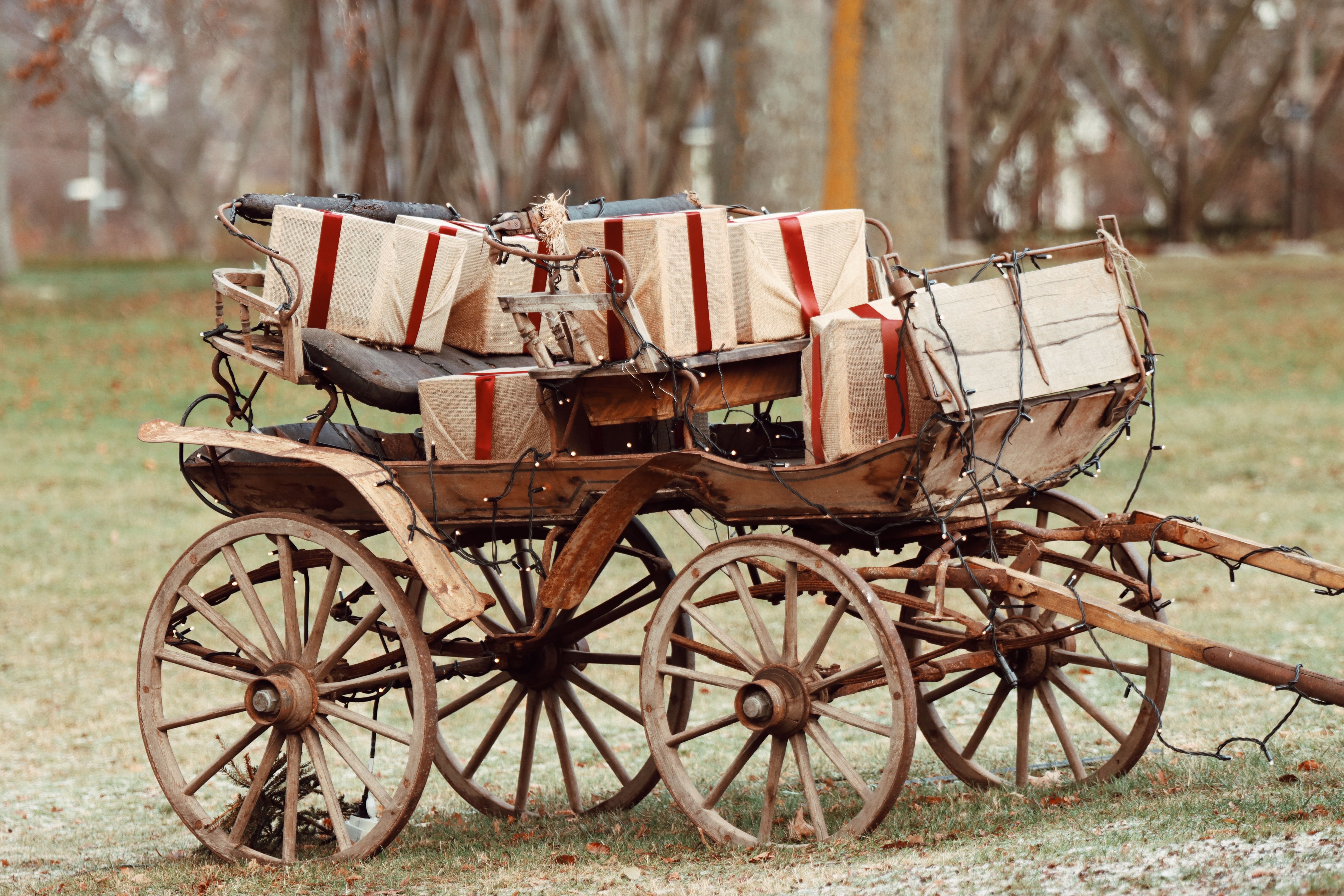 Martz Bus is going to Lancaster County PA for Christmas - pexels-efrem-efre-2786187-29662530
